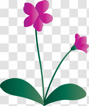 Violet Flower Transparent PNG