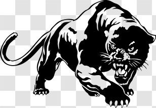 Puma Logo - Black Panther Illustration Transparent PNG