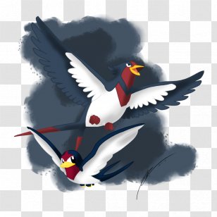 Beak Water Bird Feather - Wing Transparent PNG