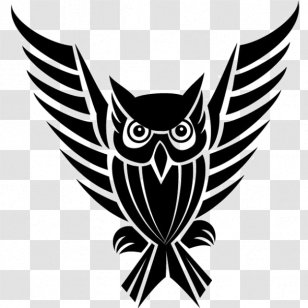 Owl Bird Drawing Clip Art - Fictional Character Transparent PNG