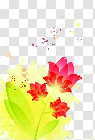 Flower Adobe Illustrator Illustration - Floristry - Translucent Dream Orchid Transparent PNG
