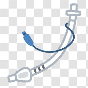 Tracheal Tube Intubation Tracheotomy Airway Management - Esophagus - Breathing Transparent PNG