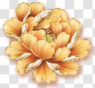 Floral Design Cut Flowers Petal Flower Bouquet Transparent PNG