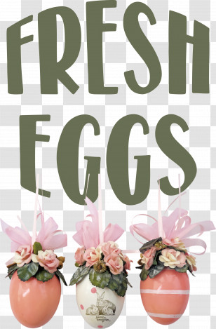 Fresh Eggs Transparent PNG