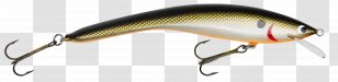 Fish AC Power Plugs And Sockets - Fishing Lure Transparent PNG