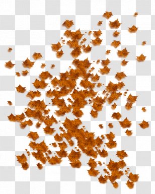 Autumn Leaf Color Clip Art - Falling Leaves Clipart Transparent PNG