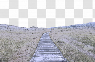 Walkway Boardwalk Ecoregion Grass Trail Transparent PNG