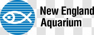New England Aquarium Historic Giant Ocean Tank Harbor Seal Transparent PNG
