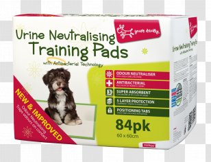 Puppy Dog Veterinarian Toilet Training Urine Transparent PNG