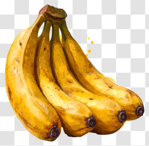 Banana - Bright Yellow Banana Bunch Transparent PNG
