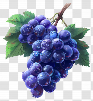 Animated Grapes - Illustration Of A Purple Grape Cluster Transparent PNG
