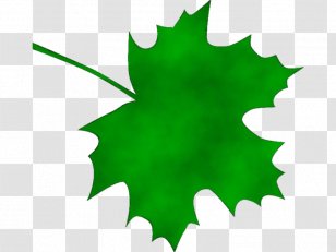 Autumn Tree Silhouette - Logo Plane Transparent PNG