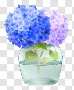 Hydrangea - Hydrangea Flowers In Vase Transparent PNG