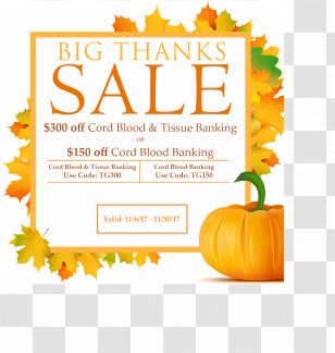 Advertising Web Banner Promotion Social Media - Design Transparent PNG