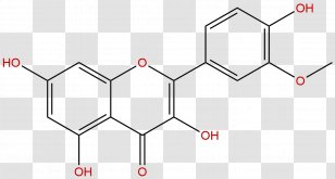 Delphinidin Flavonols Isorhamnetin Lemon Balm Chemical Compound - White Transparent PNG