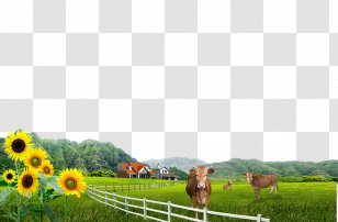 Download Computer File - Ecoregion - Farm Transparent PNG