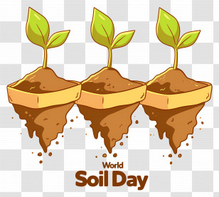 World Soil Day - World Soil Day Celebration Illustration Transparent PNG