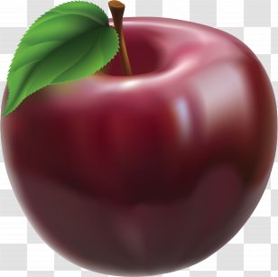 Worm Stock Photography Clip Art - Mcintosh - Plum Transparent PNG