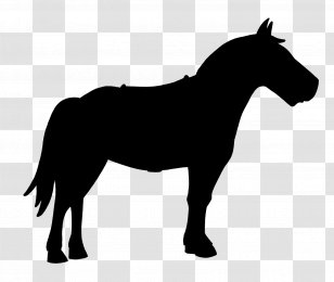 Australian Shepherd Horse German Vector Graphics Clip Art - Colt - Mustang Transparent PNG