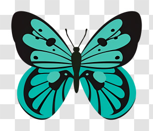 Butterfly - Illustration Of A Blue Butterfly With Black Patterns Transparent PNG