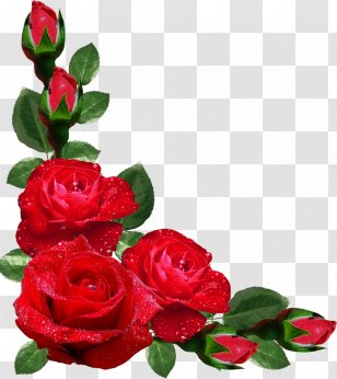 Flower Rose Picture Frames Japanese Border Designs Clip Art - Bouquet Transparent PNG