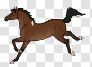 Mustang Foal Stallion Colt Pony - Pack Animal Transparent PNG
