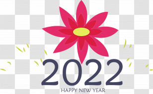 Floral Design Transparent PNG
