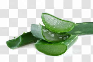 Aloe Vera Lotion Cream Emodin Gel - Exfoliation - Pattern Transparent PNG