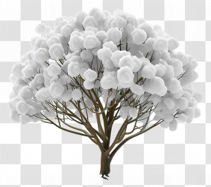Snowy Tree - White Cotton Plant Transparent PNG