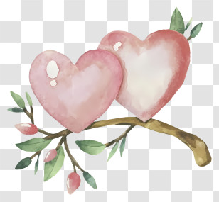 Cartoon - Heart Branch Illustration Transparent PNG