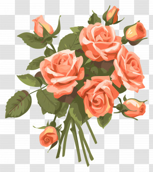 Rose Bouquet - Pink Roses Bouquet Illustration Transparent PNG