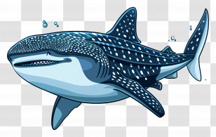 Whale Shark - Whale Shark Cartoon Illustration Transparent PNG