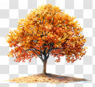 Maple Tree - Illustrated Autumn Tree With Orange Leaves Transparent PNG