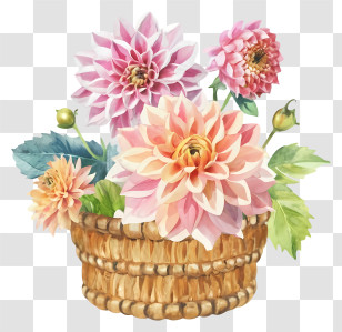 Basket Of Flowers - Pink And Peach Dahlias In Woven Basket Transparent PNG