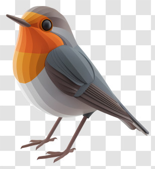 Robin - Robin Bird With Orange Chest Design Transparent PNG