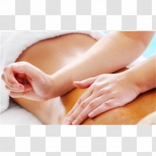 Lomilomi Massage Thai Lomi-lomi Salmon Spa - Tree - Therapy Transparent PNG