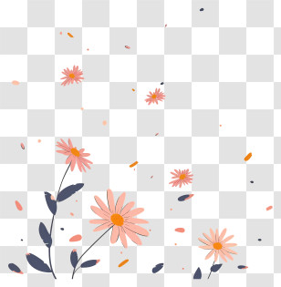 Flying Flowers - Pink Daisies With Falling Petals Illustration Transparent PNG