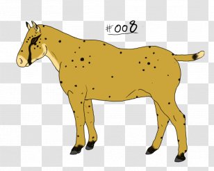 Mule Foal Stallion Mare Colt - Animal Figure - Mustang Transparent PNG