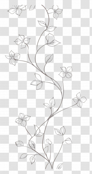 Vines Line Art - Floral Vine Drawing Transparent PNG