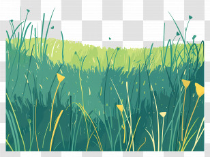 Grassy Field - Flowering Grass Field In Nature Landscape Transparent PNG