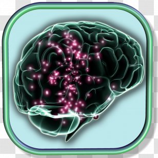 Electrical Brain Stimulation Neuroscience Memory - Frame Transparent PNG