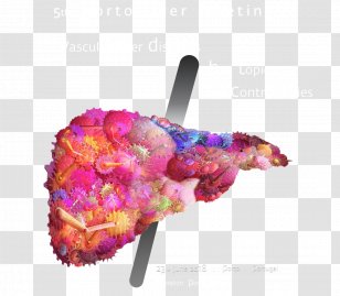 Voluntary Association Portugal Commercial And Business Of Maringa Associate Magazine - Physician - Wimbledon 2018 Poster Transparent PNG