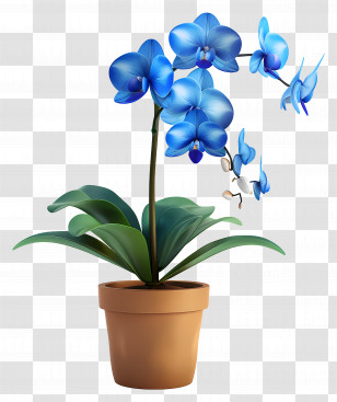 Blue Orchid - Elegant Potted Blue Orchid Transparent PNG