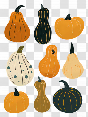 Pumpkins - Various Pumpkins And Gourds Transparent PNG