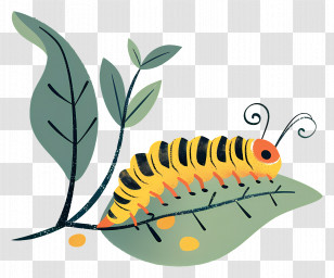 Caterpillar - Caterpillar On A Leaf Transparent PNG