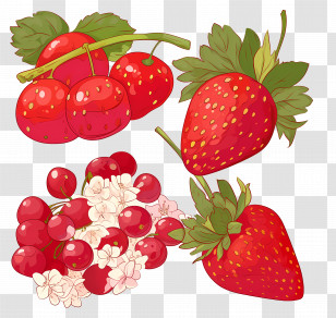 Red Strawberries - Berries And Flowers Illustration Transparent PNG