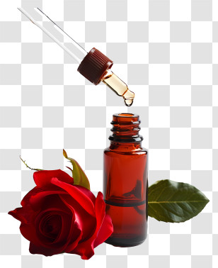 Essential Oil - Rose And Essential Oil Bottle Transparent PNG