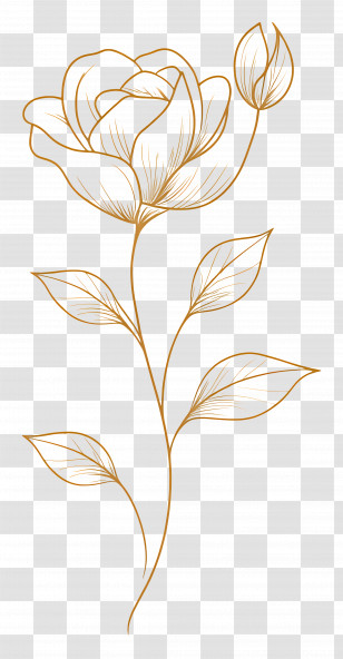 Gold Floral Pattern - Golden Line Art Flower Transparent PNG