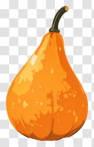 Orange Gourd Illustration - Orange Gourd With Soft Texture And Natural Detailing Transparent PNG
