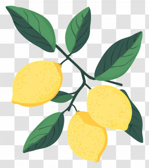 Watercolor Lemon - Lemons And Leaves On Branch Transparent PNG